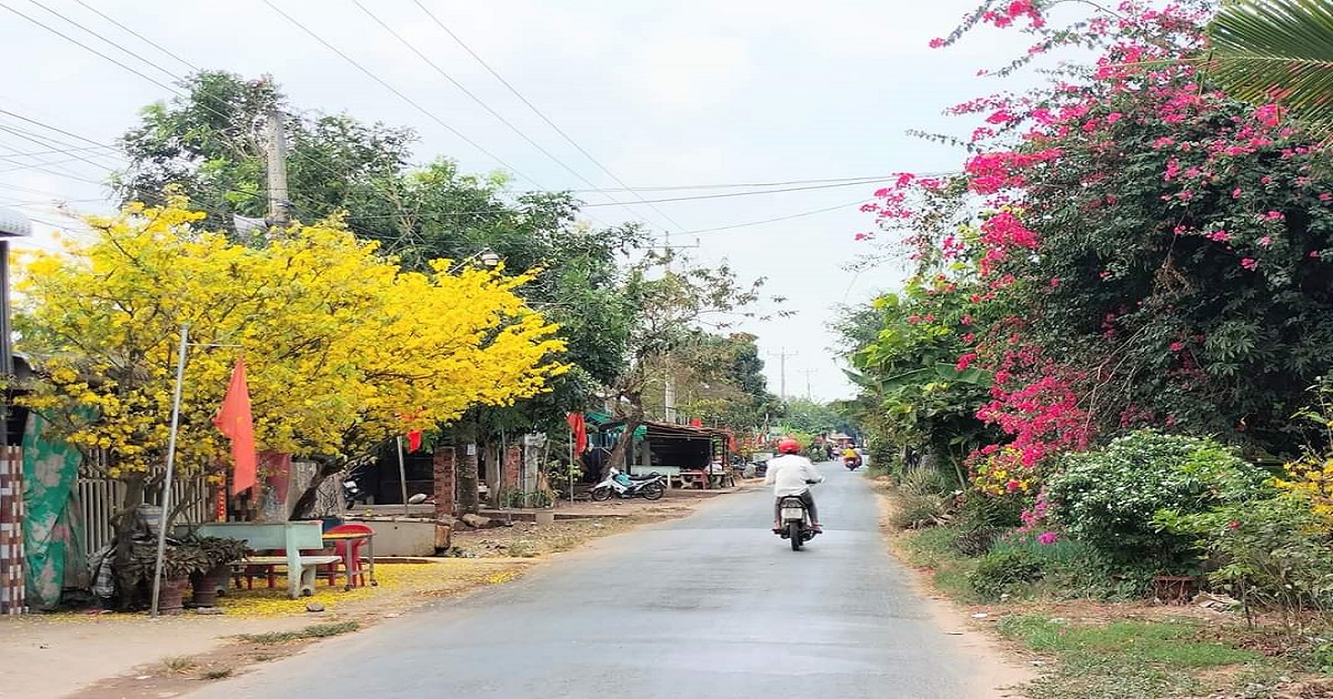 Lộ nông thông Tân Thạnh