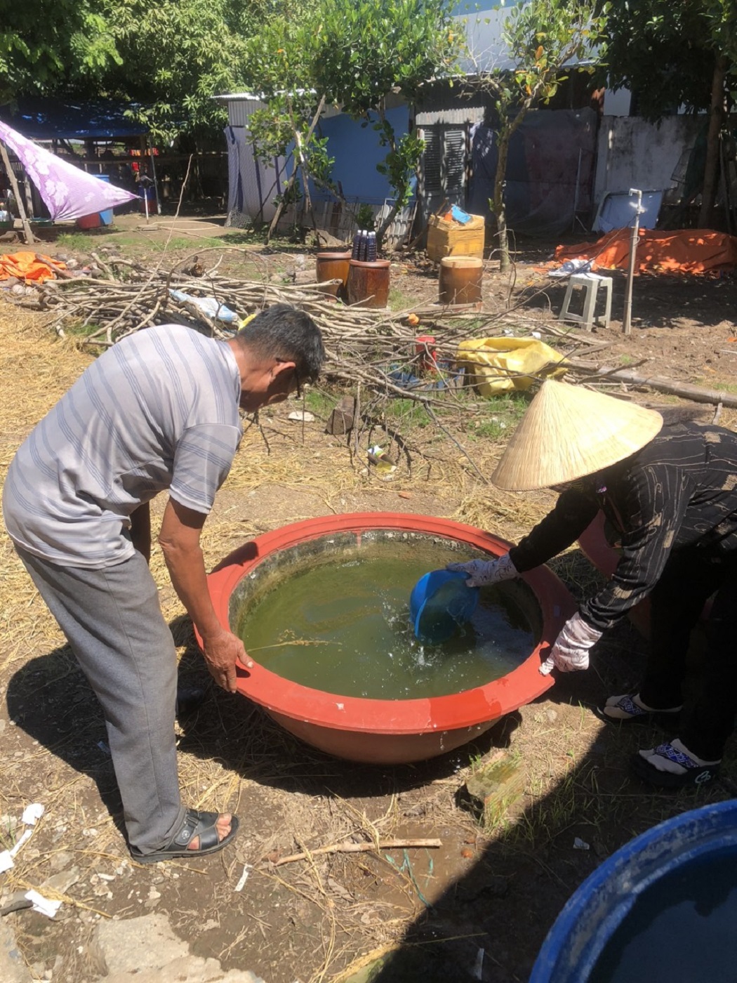 ra quân diệt lăng quăng phòng, chống sốt xuất huyết